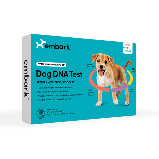 Embark Dog DNA Test